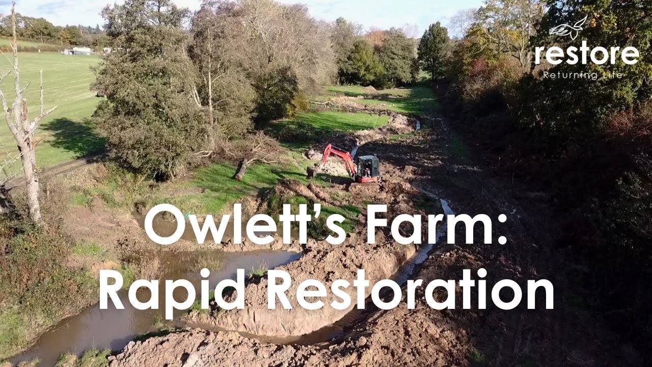 Rapid Restoration - watch the video on YouTube